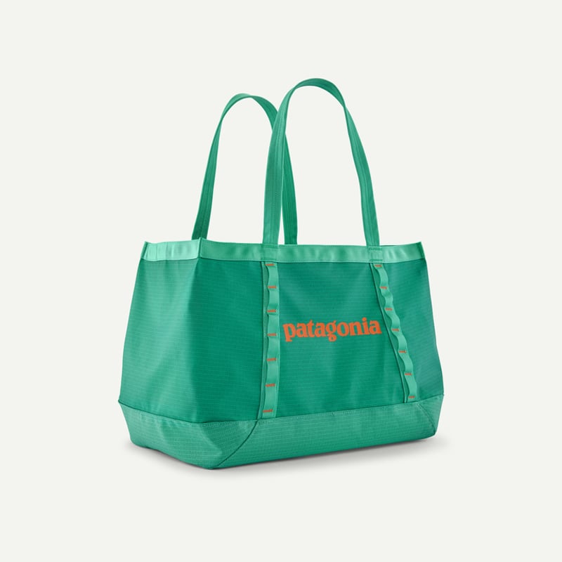 ブラックホール・トート 25L / Patagonia (パタゴニア) | BUDPALMS