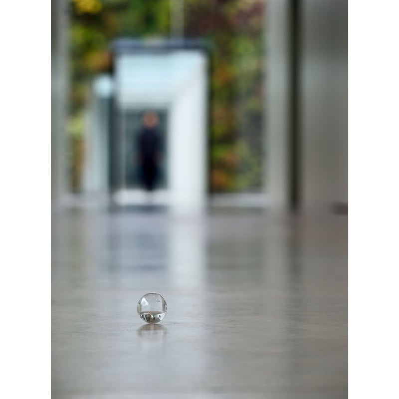 特装版】内藤礼｜うつしあう創造 | HeHe