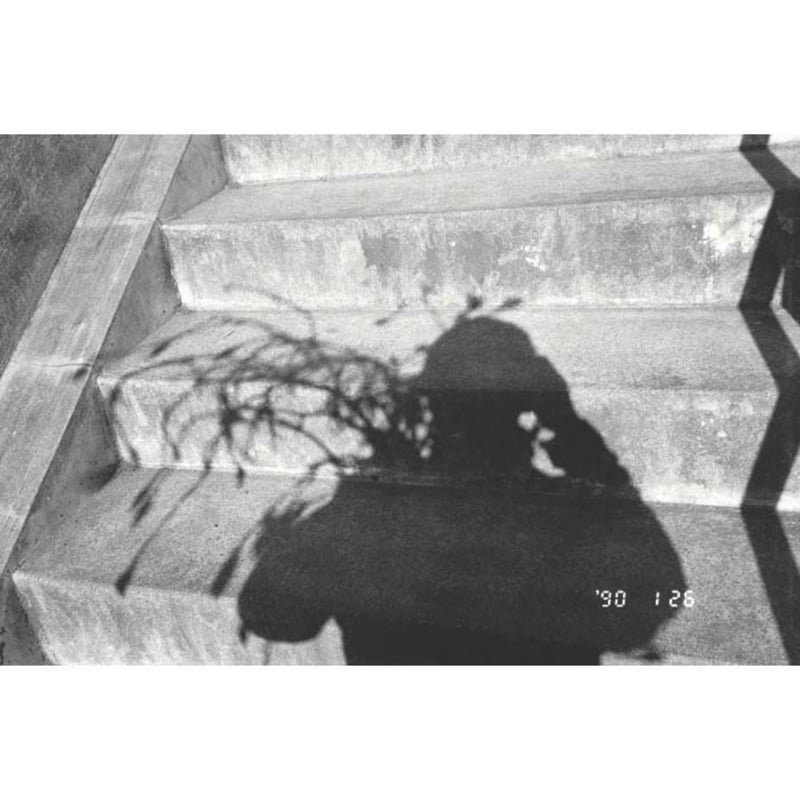 荒木経惟｜センチメンタルな旅 1971－2017－ | HeHe