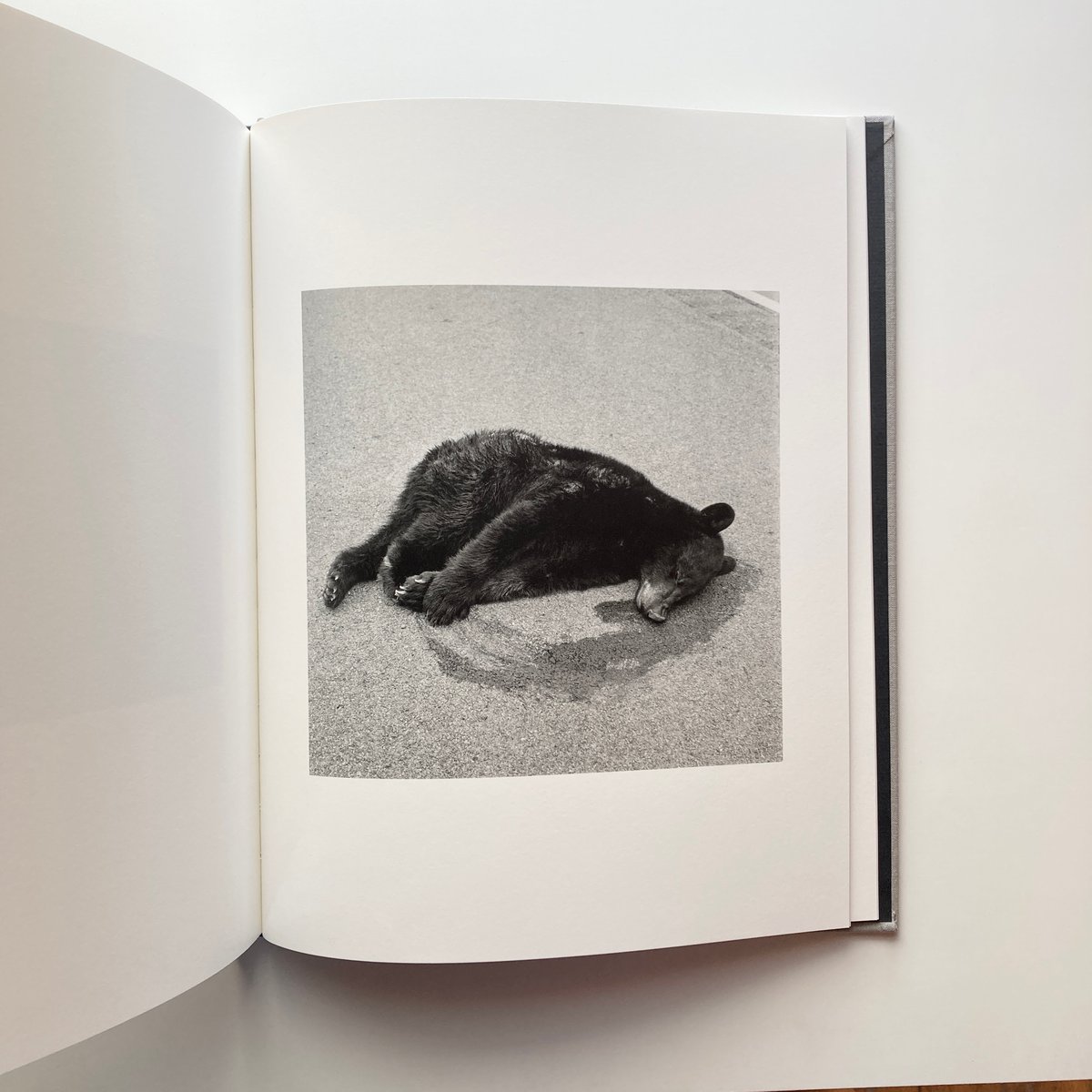 The Seraphim - Jesse Lenz | goat books