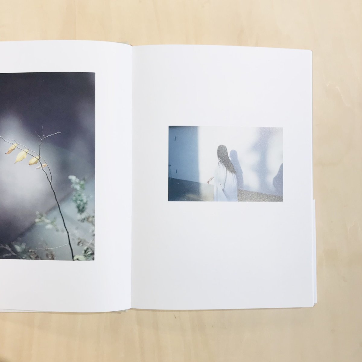 あたらしい窓／木村和平（サイン入り） | Cyg art gallery