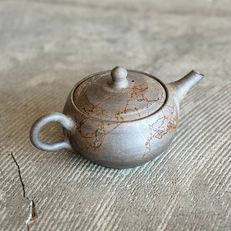 谷川仁 Hitoshi Tanikawa 炭化藻掛 後手急須 ST1031 | TOKONAM