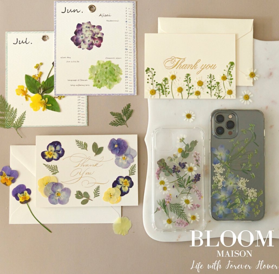 押し花｜花材セット スターチス Pressed Flower Kit ギフト