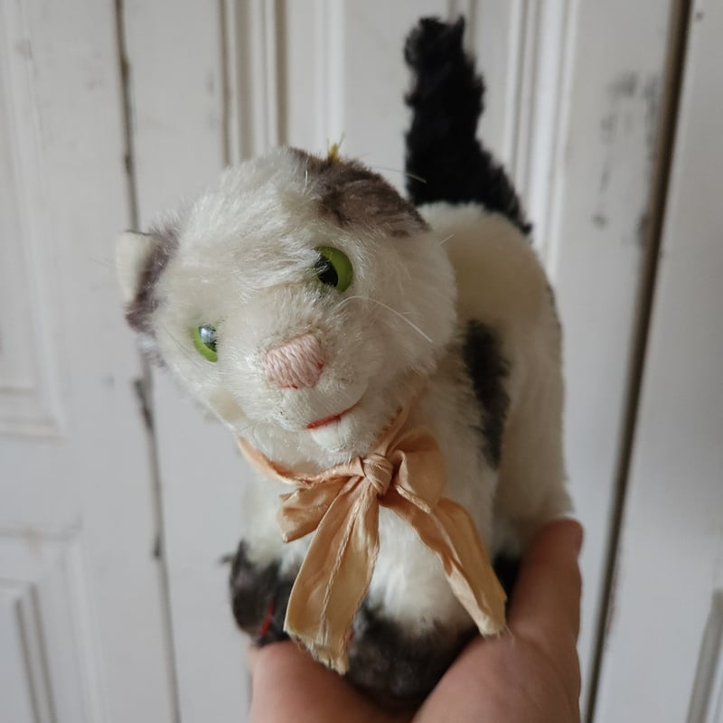 シュタイフ オープンマウスのGUSSY | リボンときどきネコ