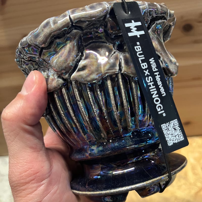 Wild Heaven 陶器鉢 BULB×SHINOGI | GREEN LUCK