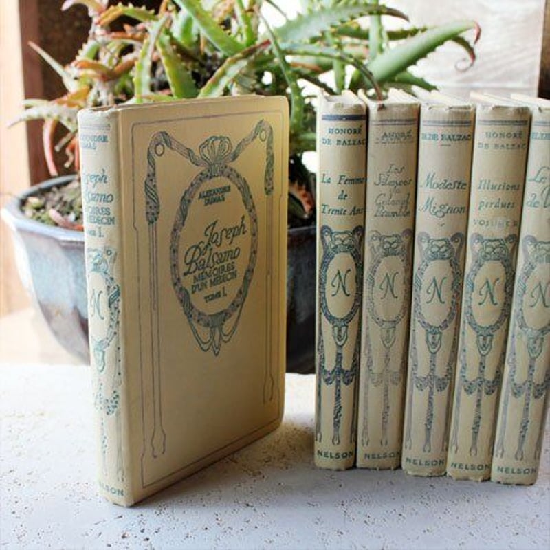 フランス ネルソン社のアンティーク本「Le Cure de Village」 | Hirose