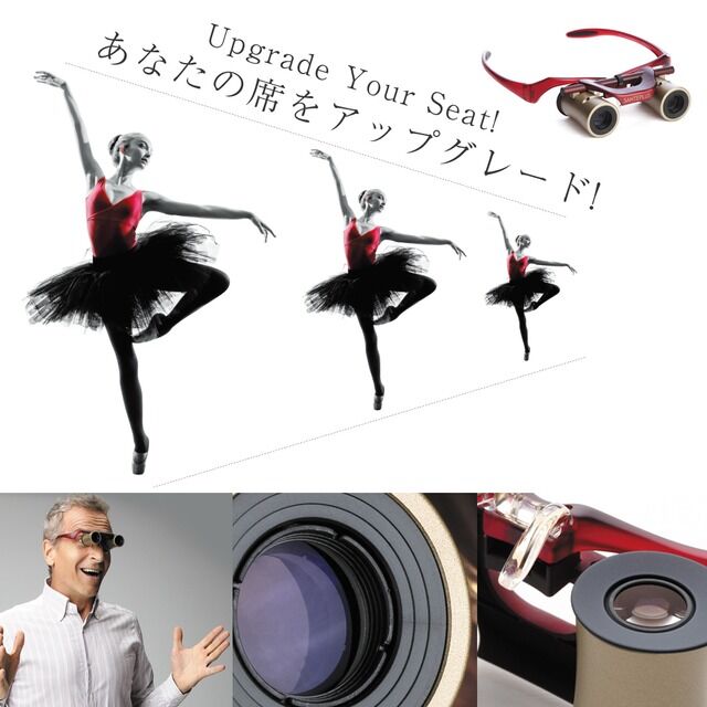 カブキグラス（ワインレッド） | サンテプラス公式ショップ