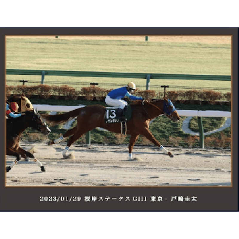 数量50個限定】レモンポップ引退記念写真デザインパネル（シリアル