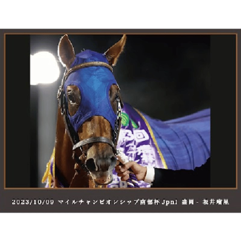 数量50個限定】レモンポップ引退記念写真デザインパネル（シリアル