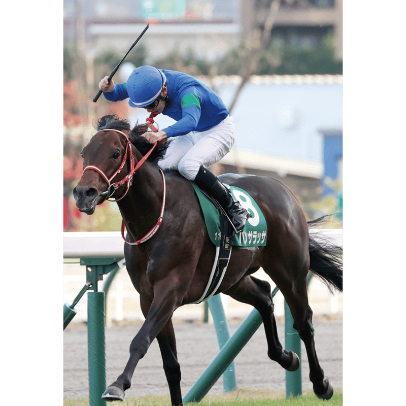 数量200個限定】パンサラッサ引退記念写真デザインパネル（シリアル