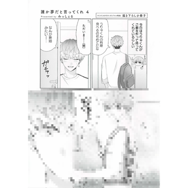 みっしぇる 『誰か夢だと言ってくれ』4巻 コミコミスタジオ特典 小冊子