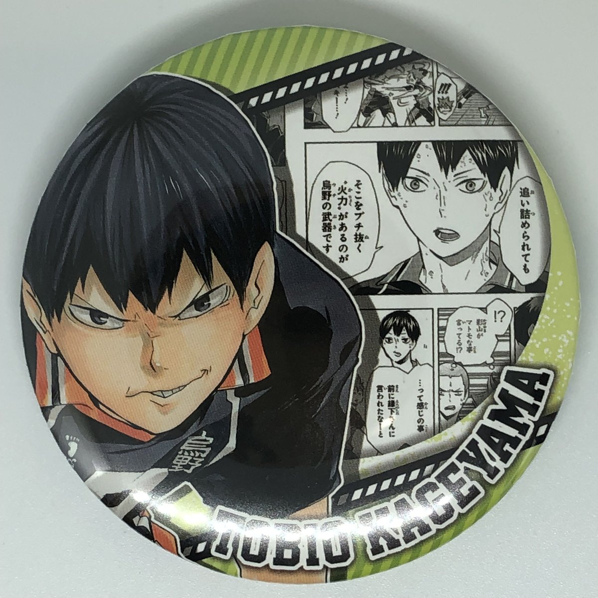 ハイキュー!!米を食べろ 肉を食べろ 野菜も食べろ!! BIG缶バッジ 日向