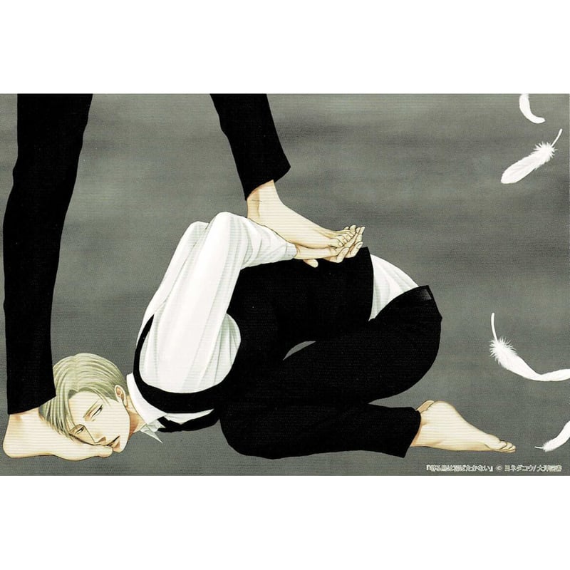 ヨネダコウ『囀る鳥は羽ばたかない』1巻 イラストカード【BLグッズ