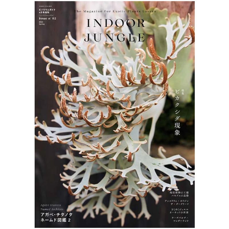 INDOOR JUNGLE Issue n°02 | FLORESTA's STORE