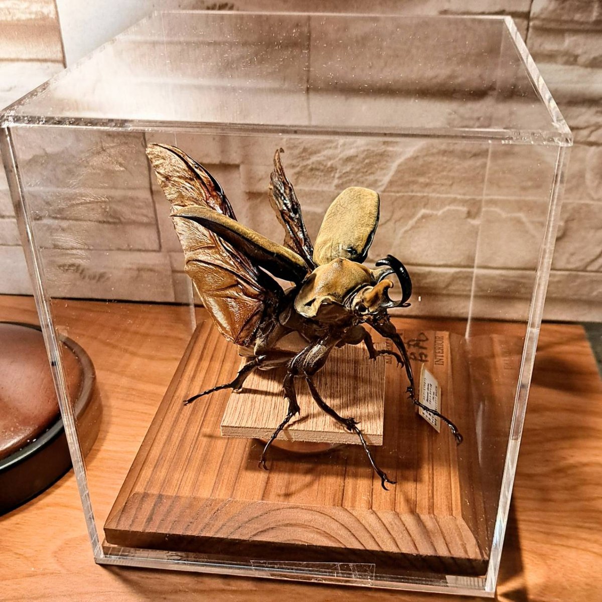 fit=scale-down,w=1200