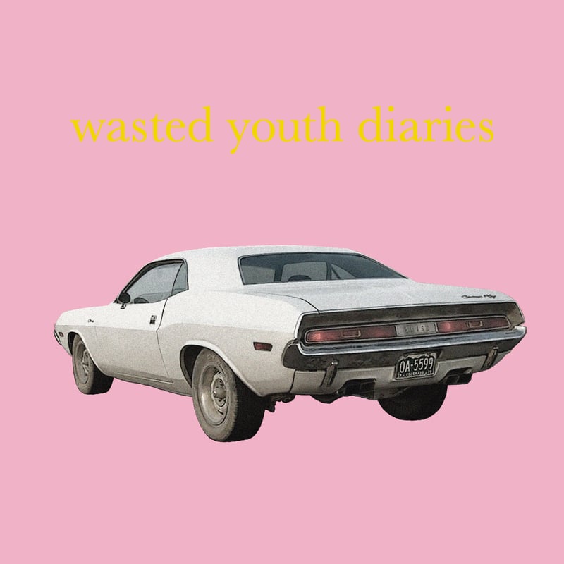 THE HATE HONEY - Wasted Youth Diaries [CD] | fo