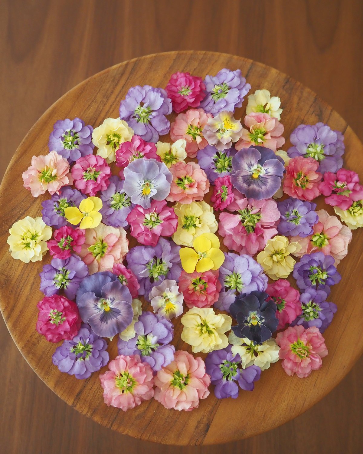 Y.T.様 専用】ドライフラワー＆押し花 花材セット | zelkova's aroma g