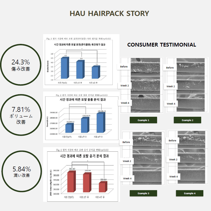 HAUヘアパック（1箱5枚入り） | Dr.JUNs STORE