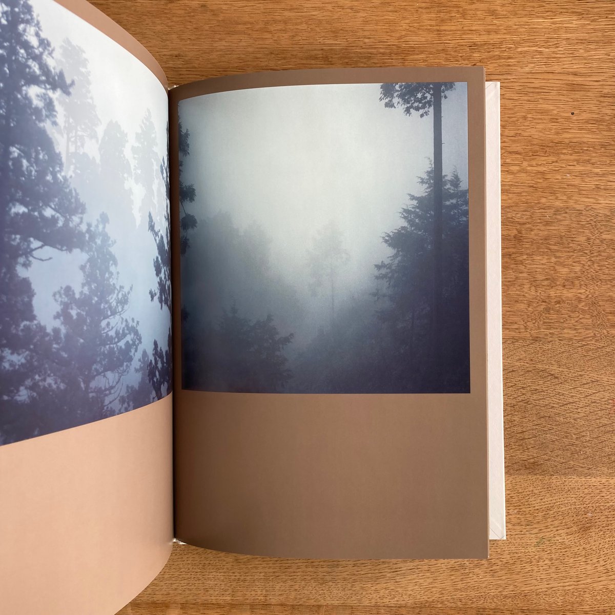 Darren Almond｜The Civil Dawns | WHITEGREEN GALLERY