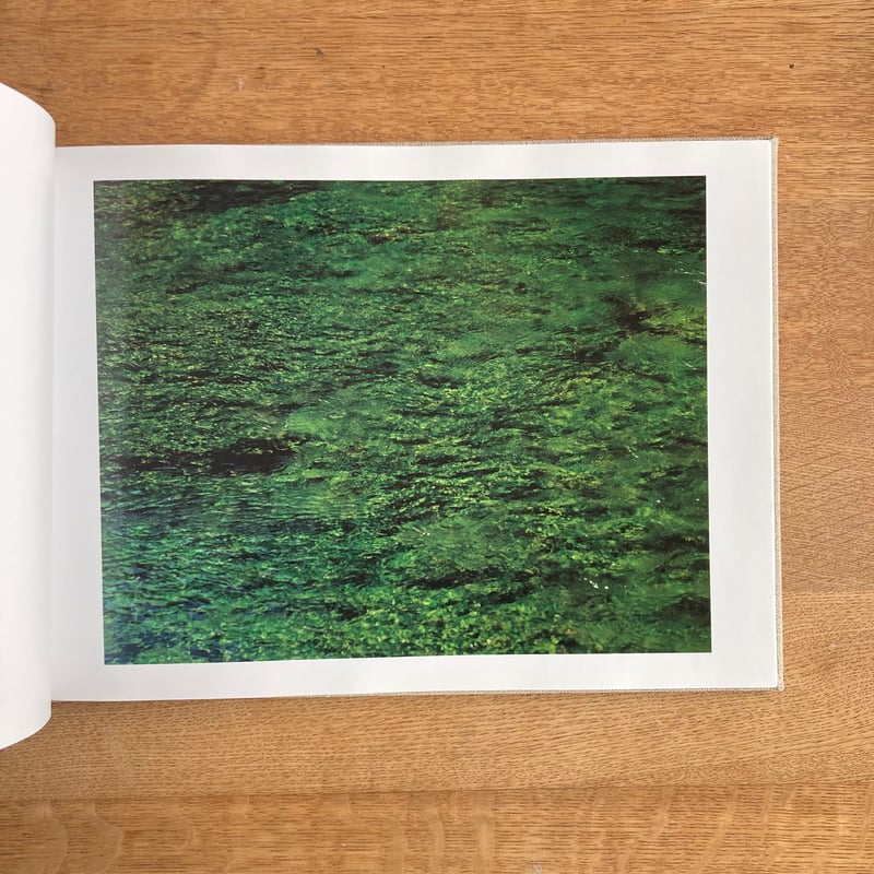 鈴木理策｜知覚の感光板 | WHITEGREEN GALLERY