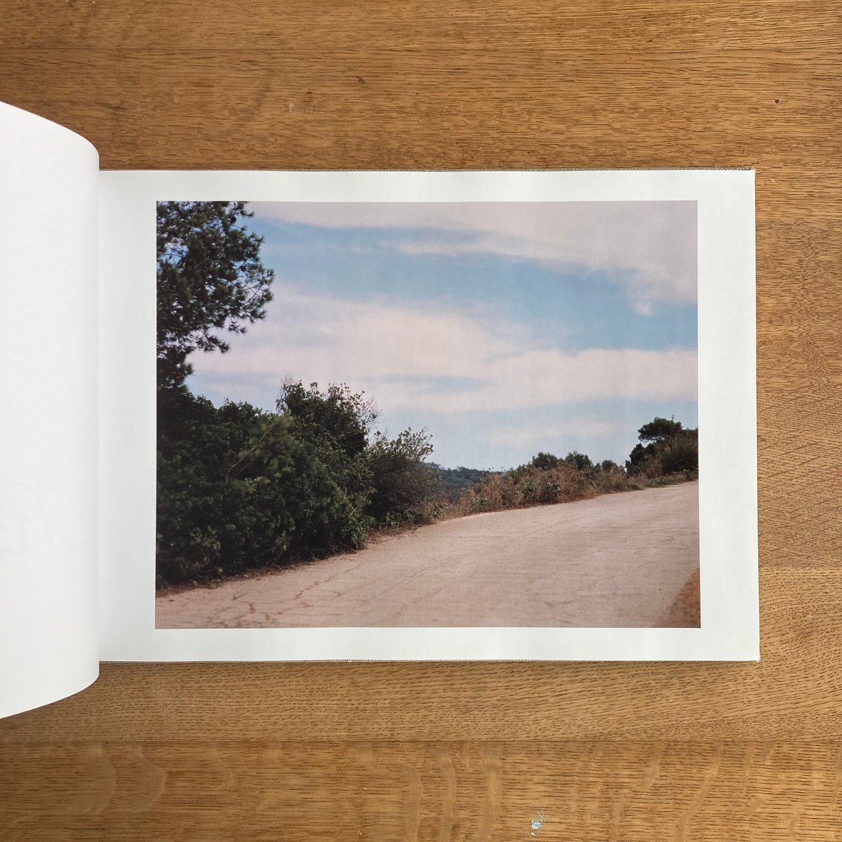 鈴木理策｜知覚の感光板 | WHITEGREEN GALLERY