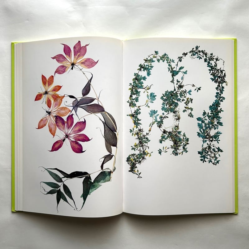 Flora / Nick Knight | 本まるさんかくしかく