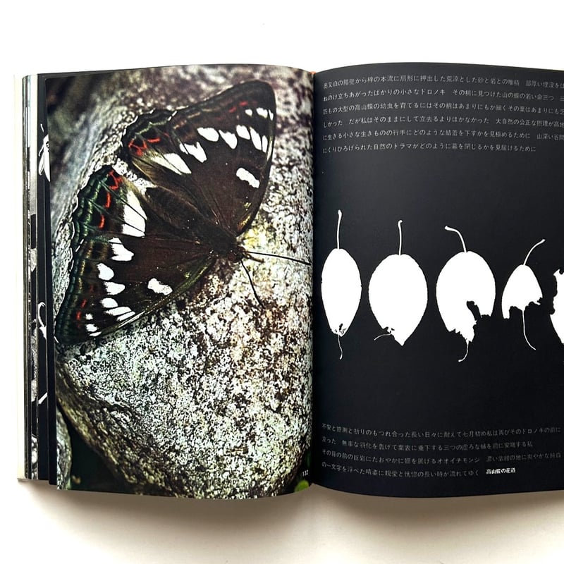 山の意匠 田淵行男写真集 | 本まるさんかくしかく