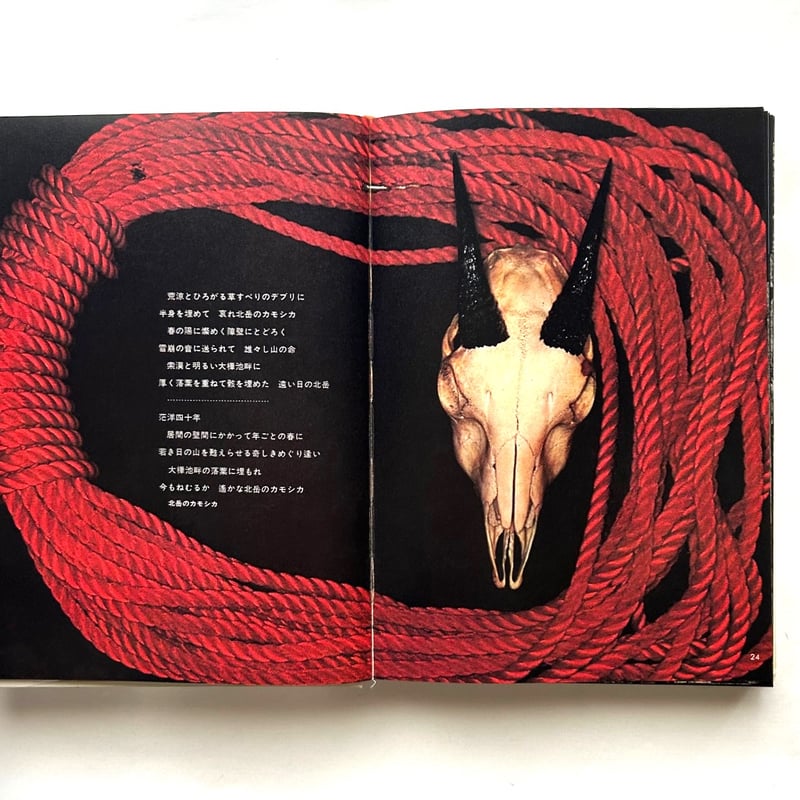 山の意匠 田淵行男写真集 | 本まるさんかくしかく