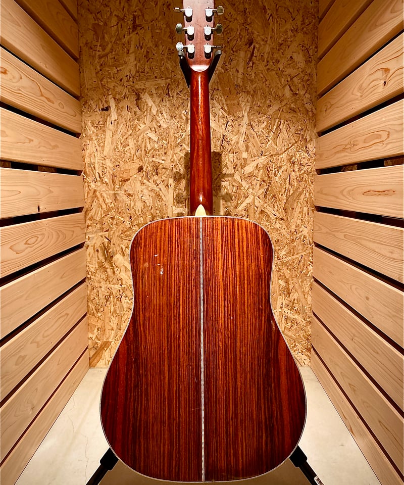 Morris W-35 | Guitarshop SOUNDNINE