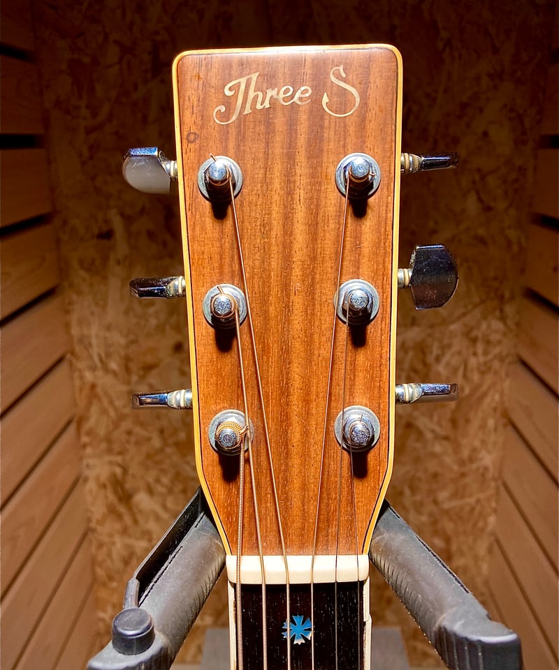 ThreeS W-500 | Guitarshop SOUNDNINE