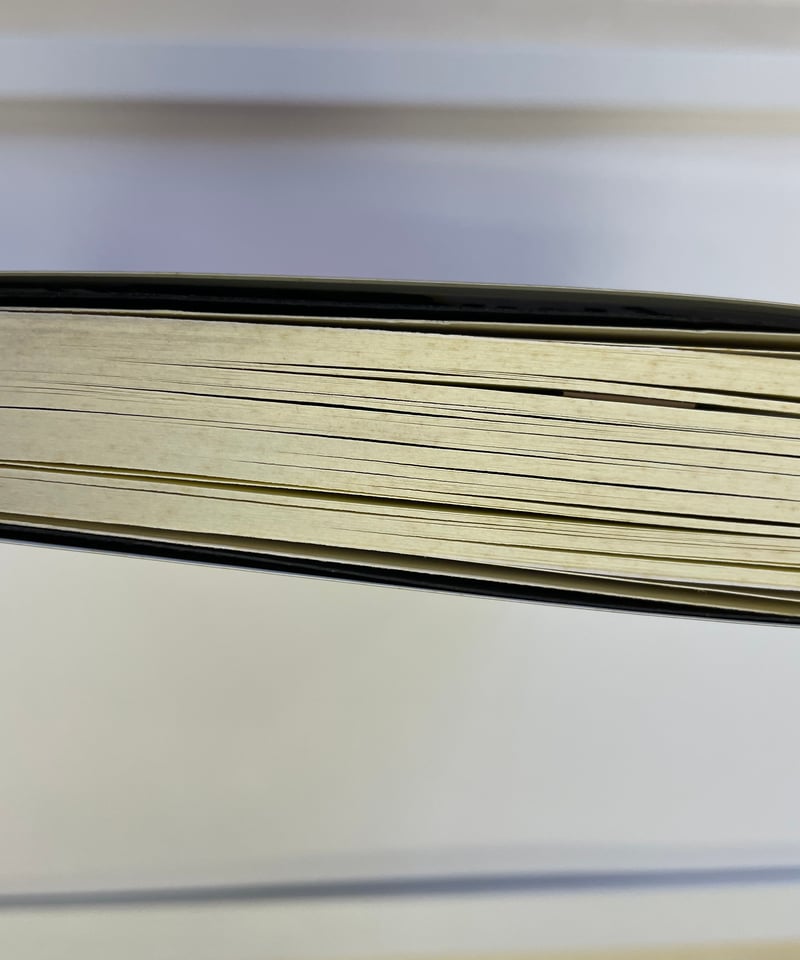 D.ヘブディジ 著 山口淑子 訳『サブカルチャー スタイルの意味するもの