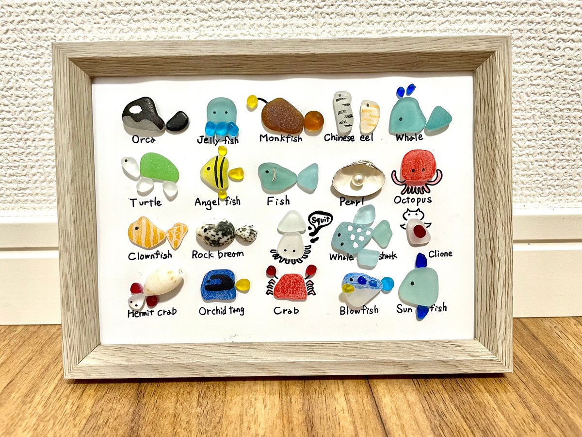 2Lサイズ☆シーグラスアート☆ No.10☆『図鑑シリーズ。海の生き物20