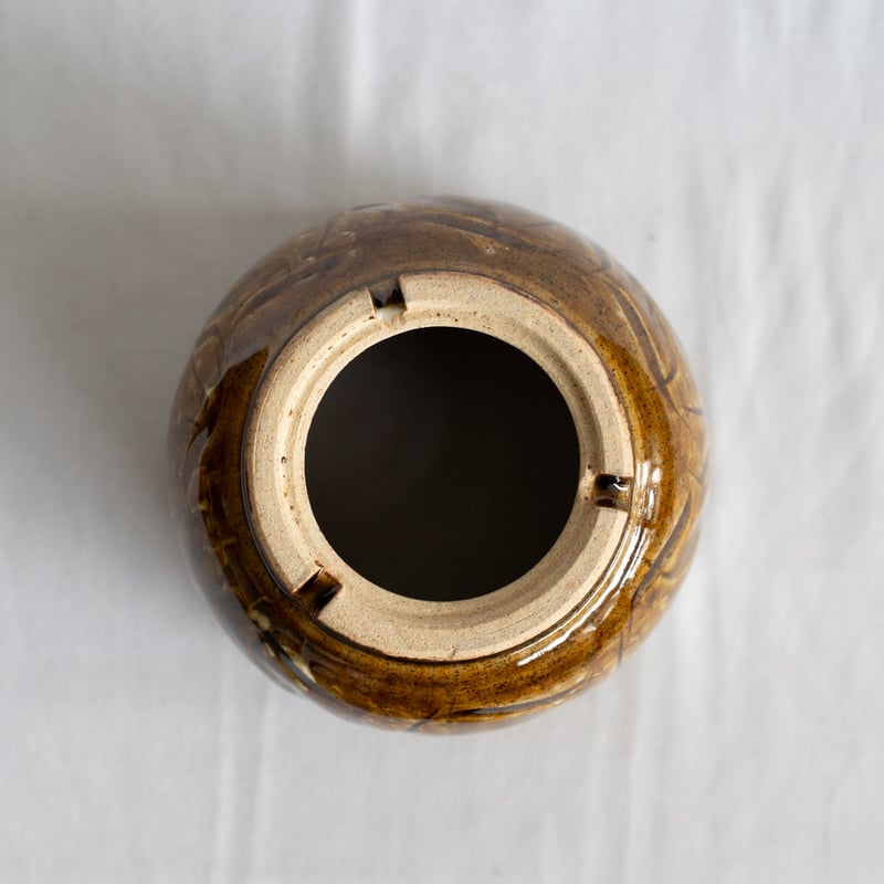 保田修作×rimwork 陶器鉢 鉢 塊根植物 多肉植物 珍奇植物 静岡