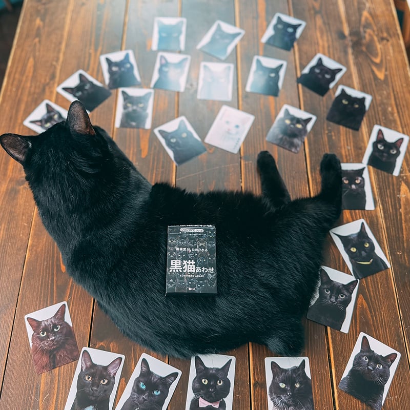 4月中旬発送分】難易度MAXのツンデレ仕様！【黒猫あわせ】 | わん