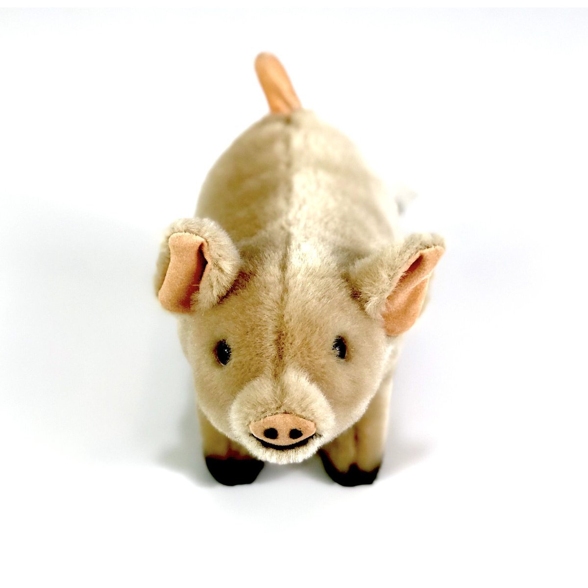 KOSEN/ケーセン こぶた | Toy-Toy ONLINESHOP