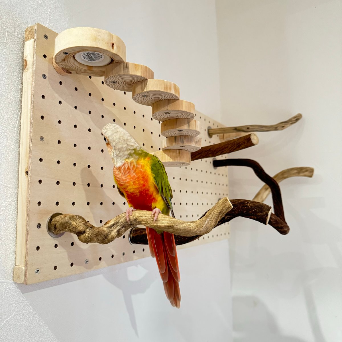 自由にカスタム 壁掛けバードアスレチック【B】 | 自然木の鳥用品 鳥豆