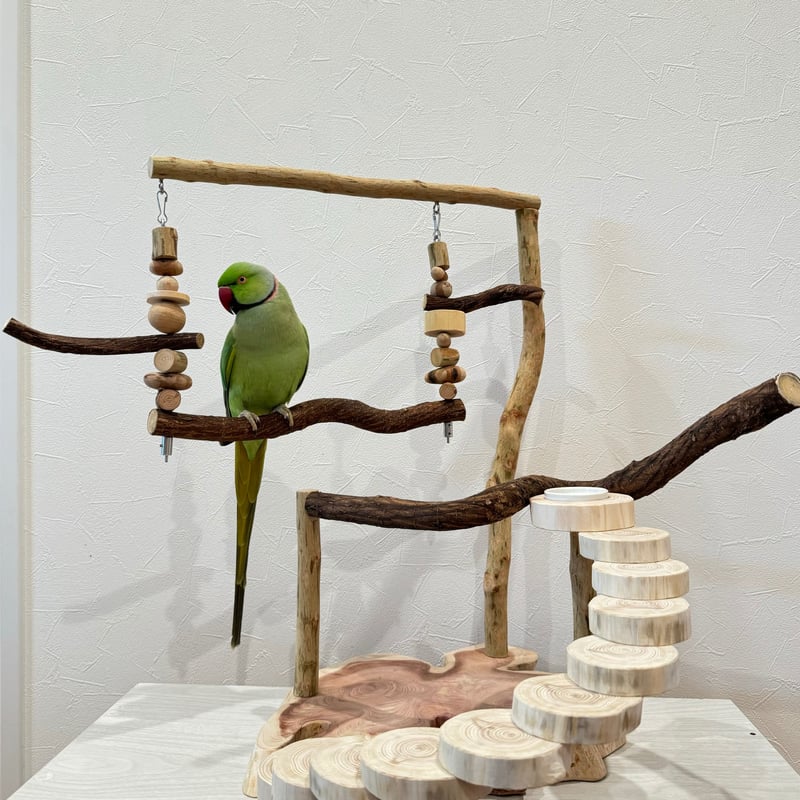 螺旋階段とハイジブランコのバードアスレチック【インコのおもちゃ