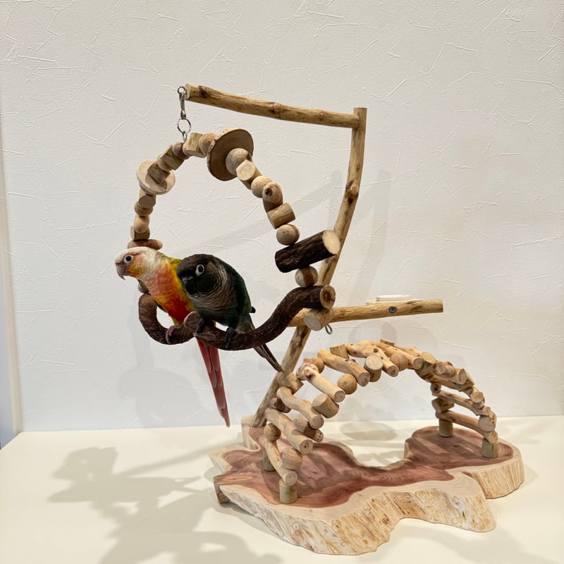 螺旋階段とトンネルアーチのバードアスレチック【インコのおもちゃ