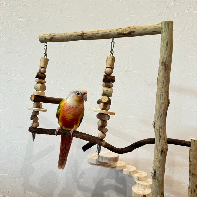 螺旋階段とハイジブランコのバードアスレチック【インコのおもちゃ