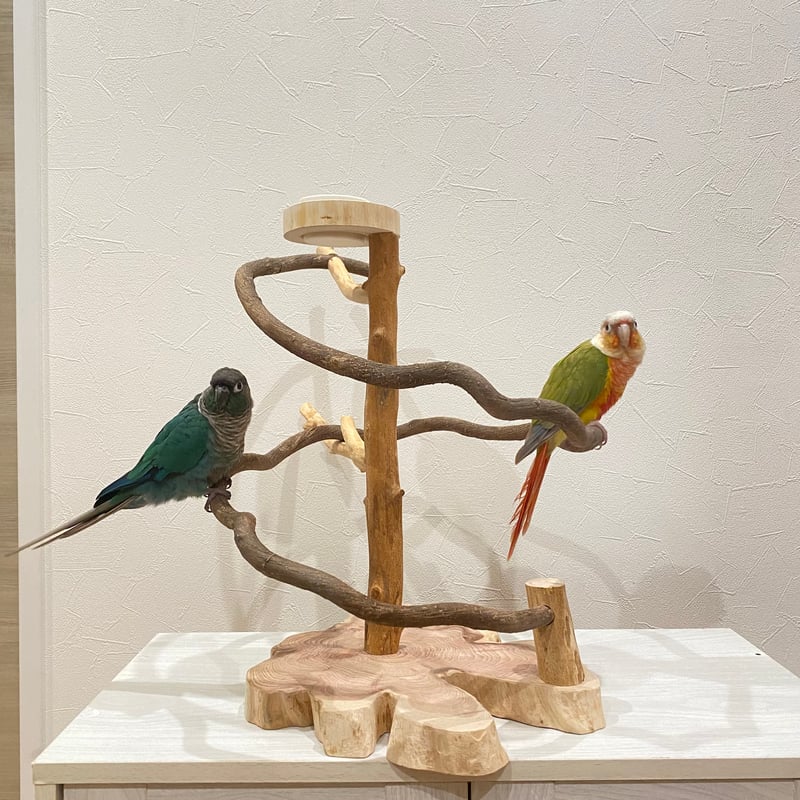 ツタのぐるぐるバードアスレチック①【インコのおもちゃ・自然木の