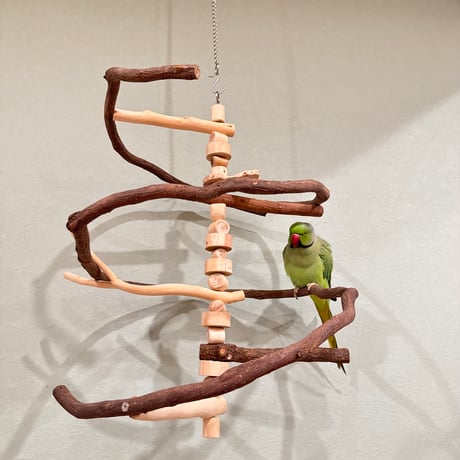 小鳥用止まり木 バードアスレチック Amazon | 鳥アスレチック バード