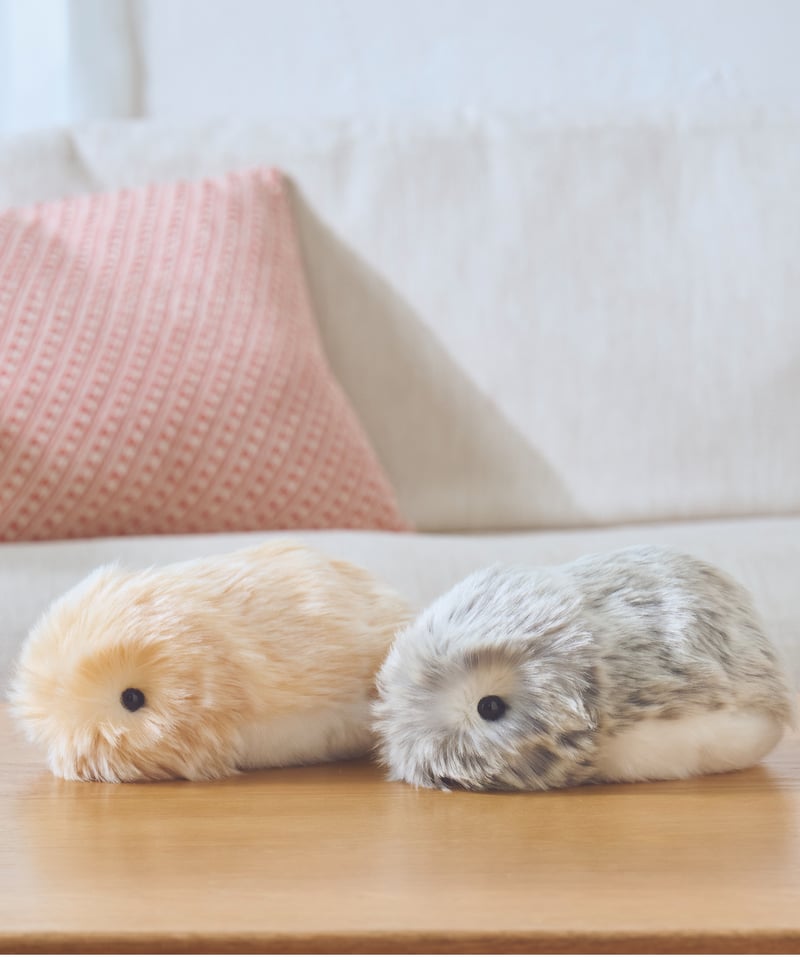 Moflin【モフリン】 ゴールド | Robot Planet Online store