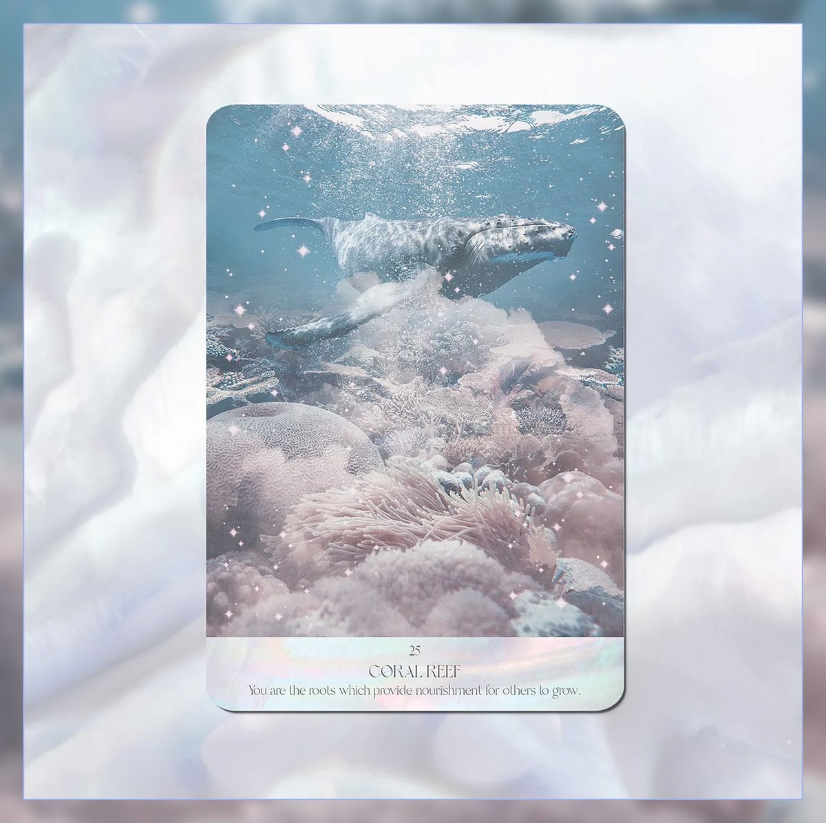SALT WATER SPIRIT ORACLE【オラクルカード】 | musemuse