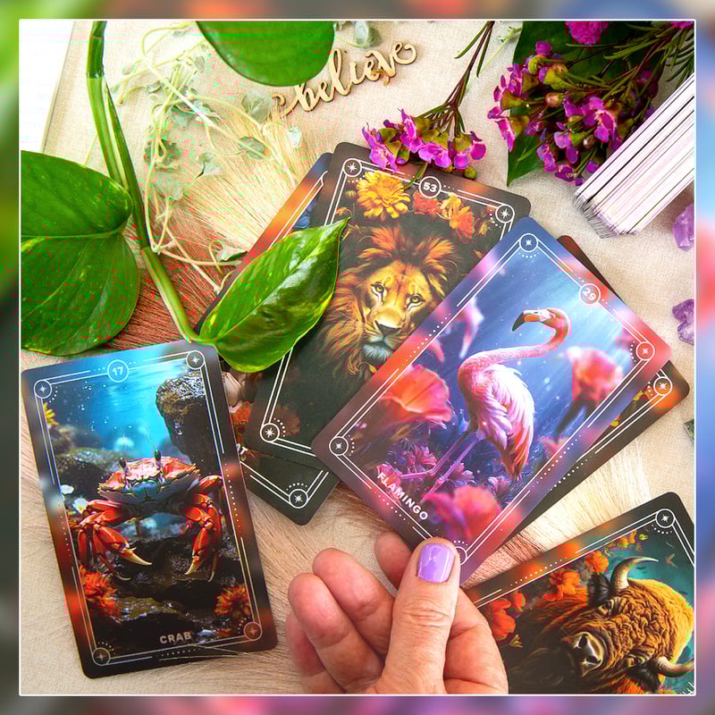 予約商品】Spirit Animals Oracle【オラクルカード】 | musemuse