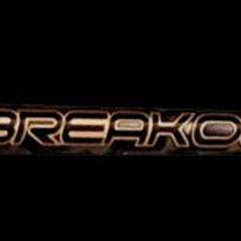 レーヴ REVE ブレイクアウト BREAKOUT ドライバー用シャフト