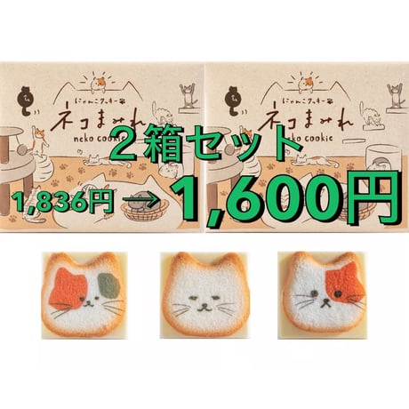 SALE | シアワセは、いつも、ココから・・・montearea online