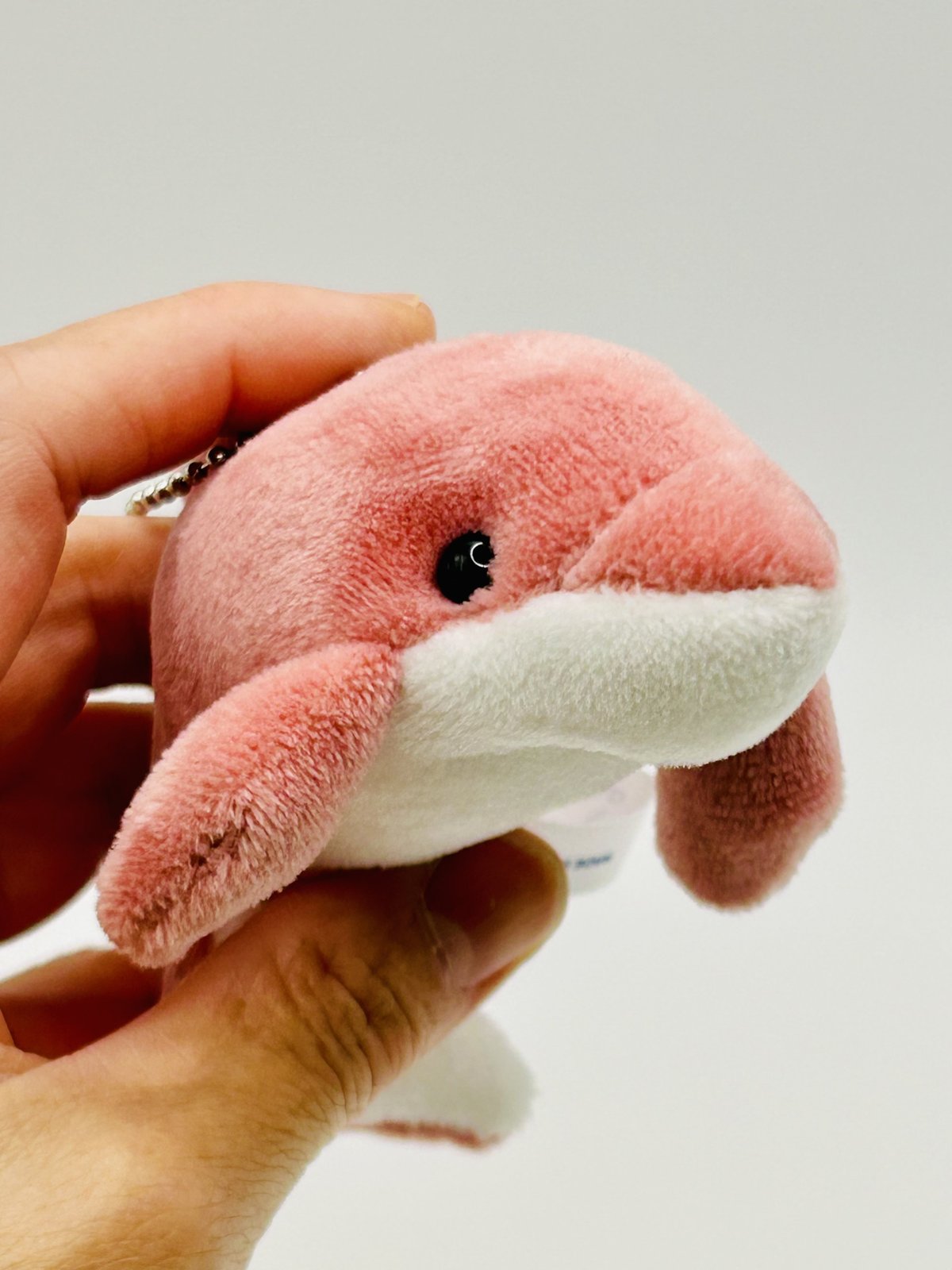 ボールチェーンマスコット（イルカ）- スモークピンク | すいそう