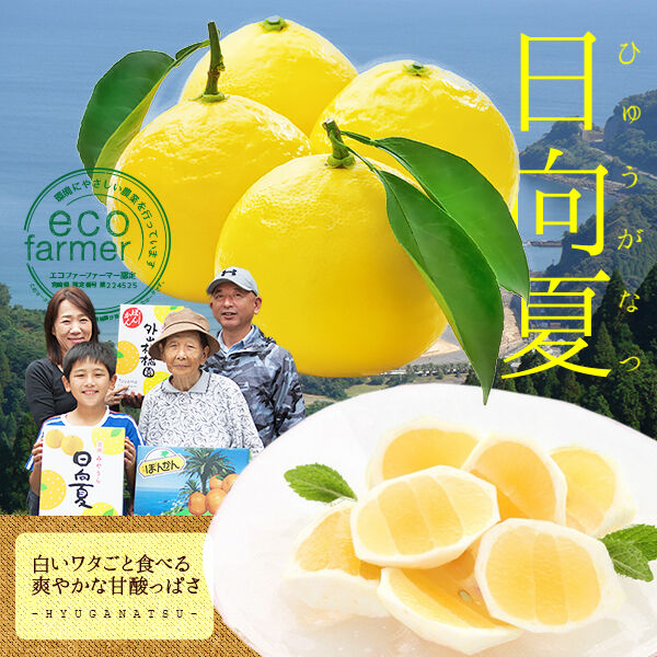 みかん様 みかん様 みかんページ みかん様 ミカン様 ミカン様 蜜柑様