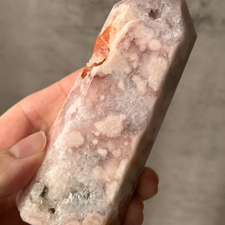 チェリーブロッサム | STORES