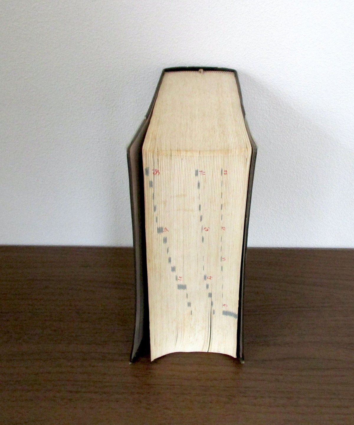 医学大辞典二冊セット 最新医学大辞典第3版 | 最新医学大辞典編集委員